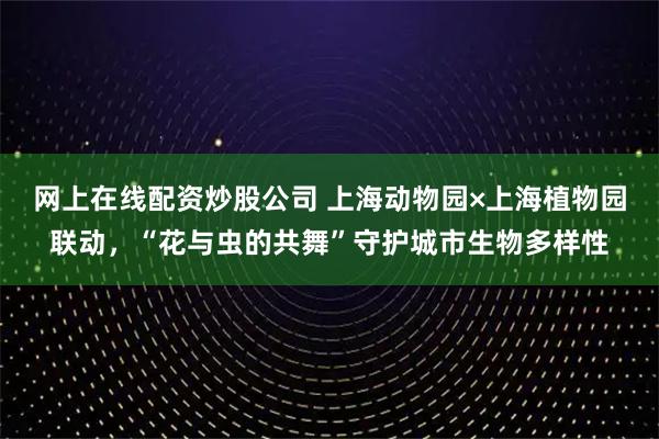 网上在线配资炒股公司 上海动物园×上海植物园联动,“花与虫的共舞”守护城市生物多样性