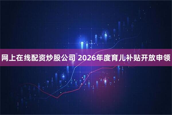 网上在线配资炒股公司 2026年度育儿补贴开放申领
